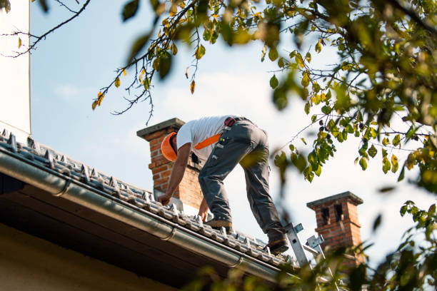 Best Storm Damage Roof Repair  in Prairieville, LA